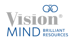 VisionMind-384x768