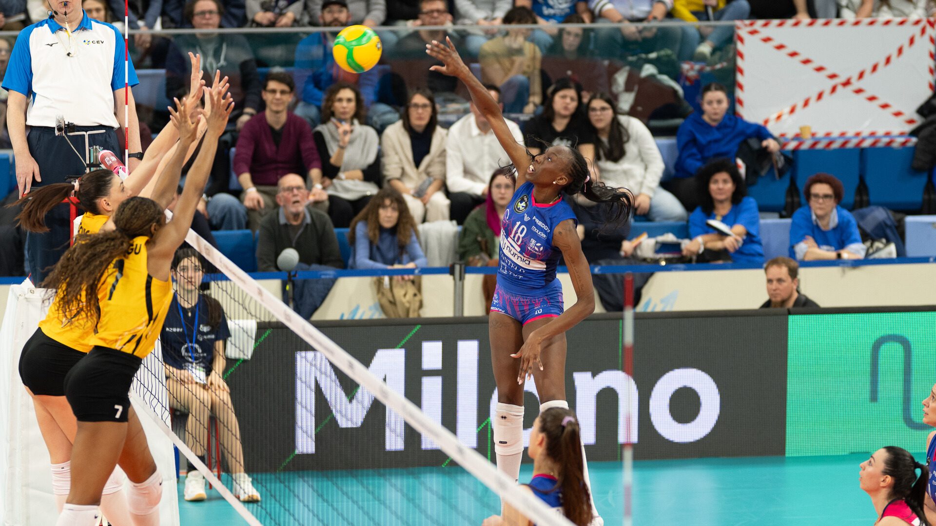 aa2af70f-814a-4bf6-9f22-b7ded0e00158