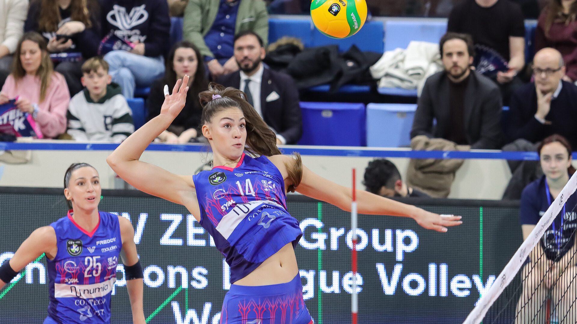 b1b8f65e-4d21-4274-96e5-fcf8a268b4b6