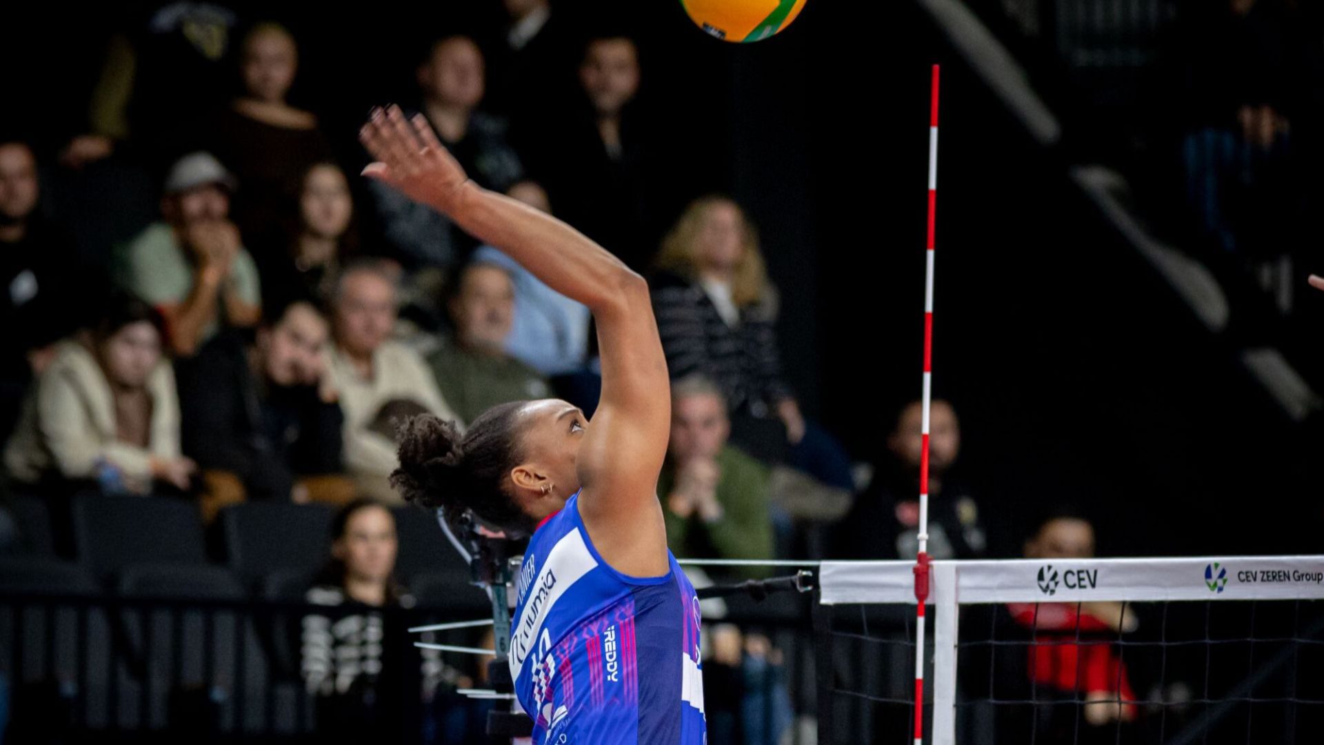 d494c06f-12d5-4206-85de-5eb36b1e8fe9