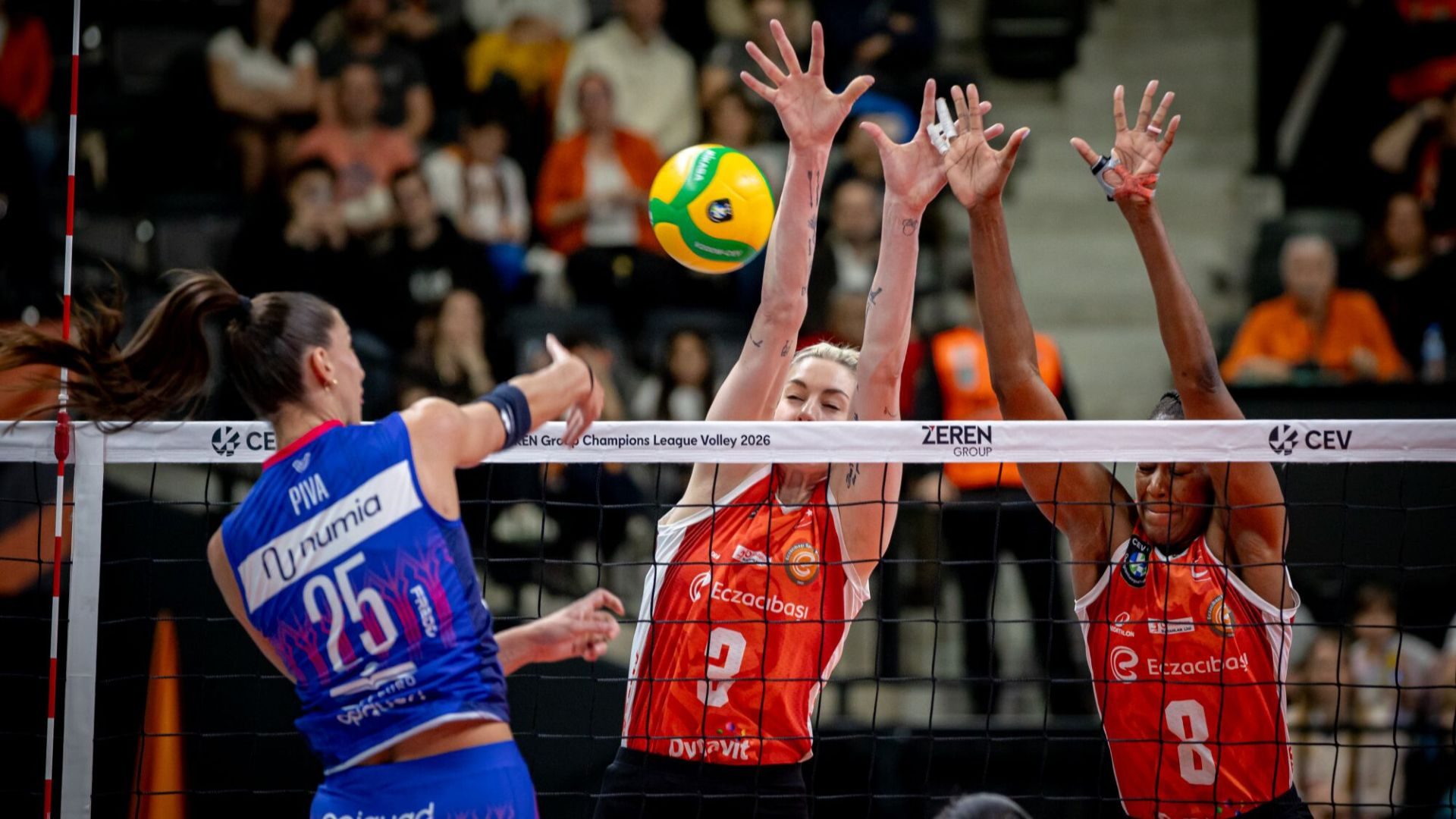 e8cf02b9-de01-487a-a768-c2b50a7709ef