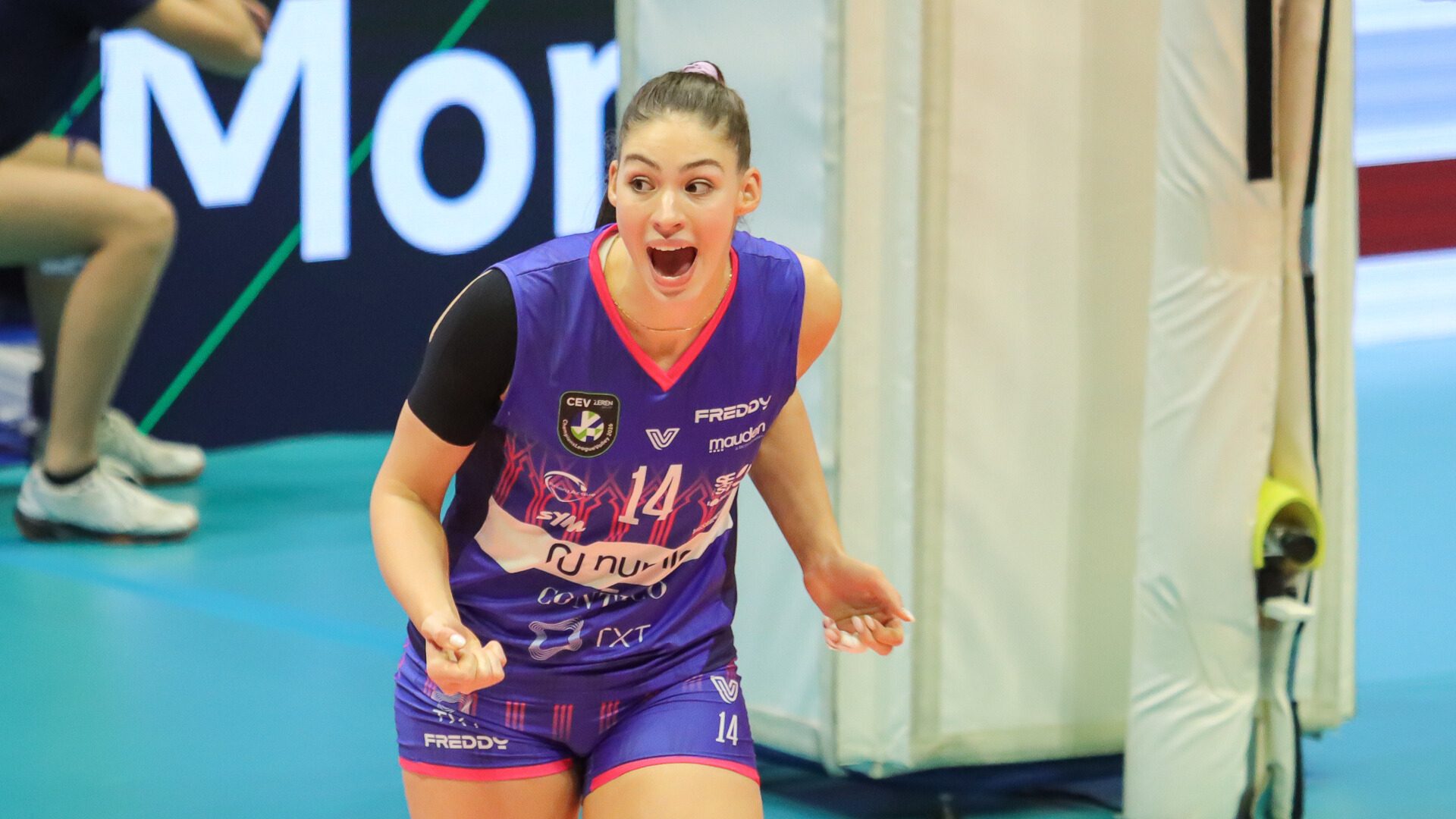 ec05a3a4-367d-4f9c-8b26-13bb6bbb4965